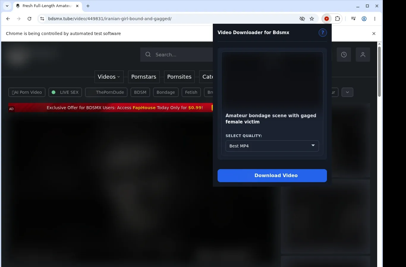 Bdsmx Downloader