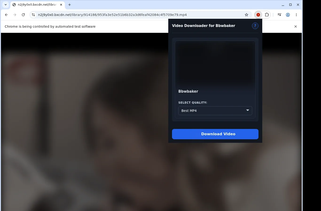 BBWBaker Downloader