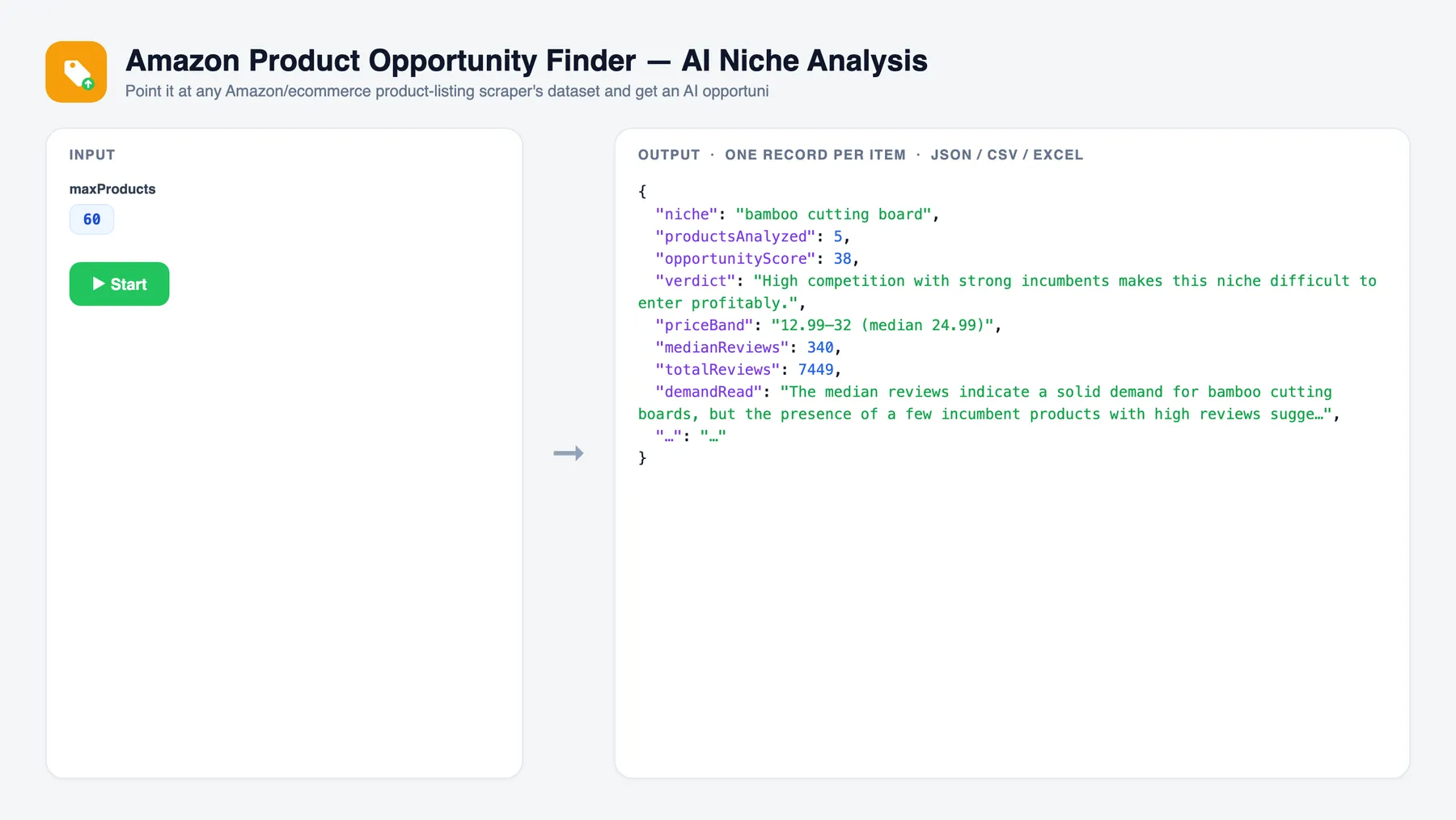 Amazon Product Opportunity Finder — AI Niche Analysis — input and sample output
