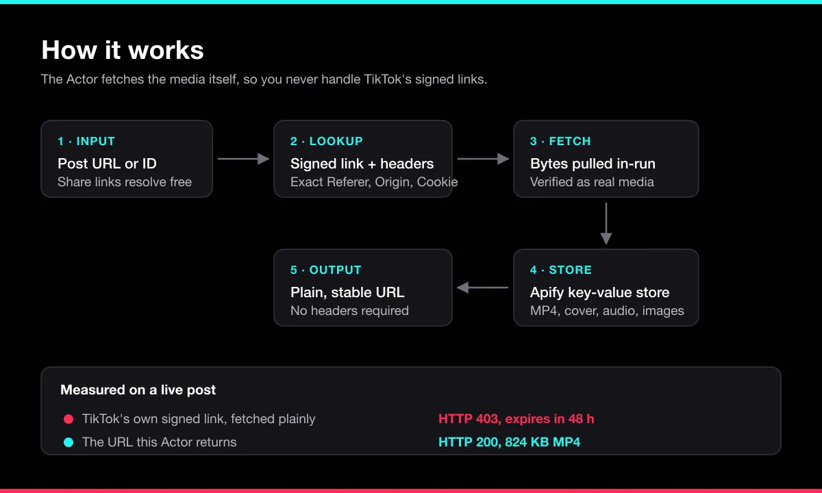 How the TikTok Video Downloader works