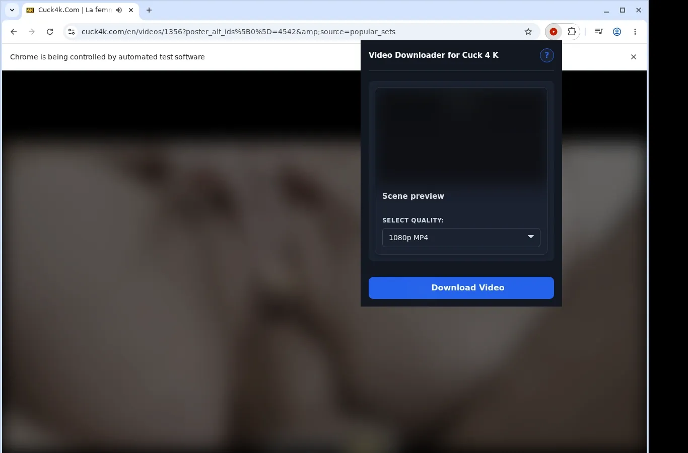 Cuck4K Downloader