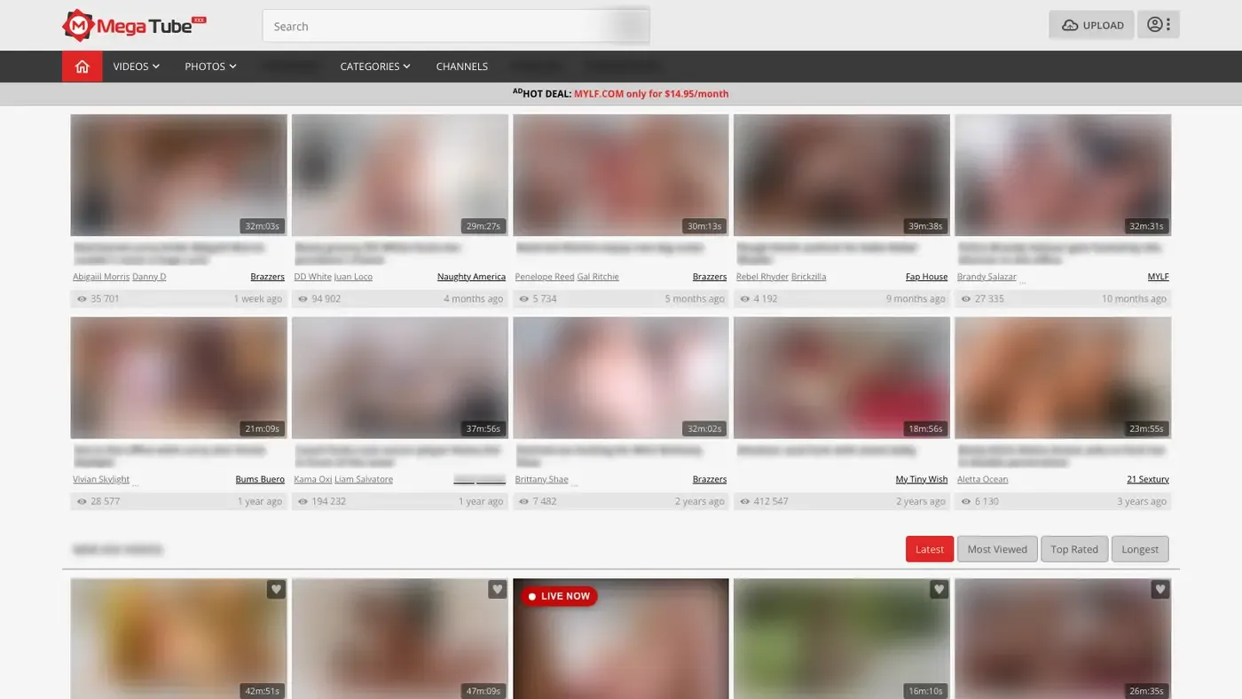Porn Picture