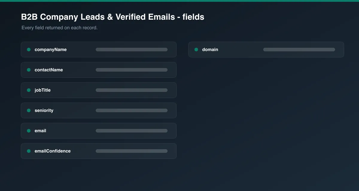 B2B Company Leads & Verified Emails data fields