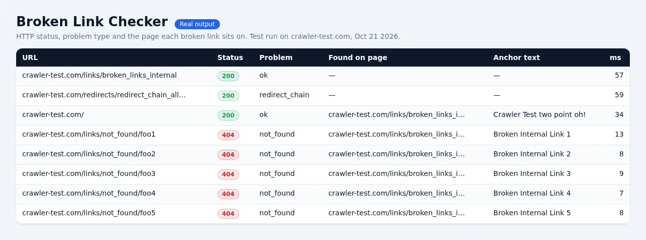 Broken Link Checker: Bulk URL Status, 404 & Redirect Checker - sample output