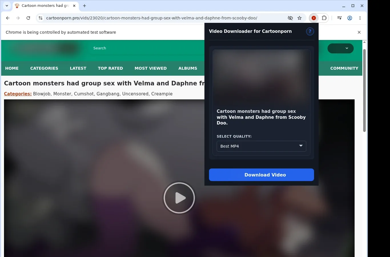 CartoonPorn Video Downloader