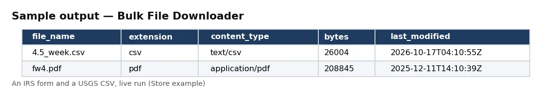 Table of downloaded files: file name, extension, bytes, last modified and file link.