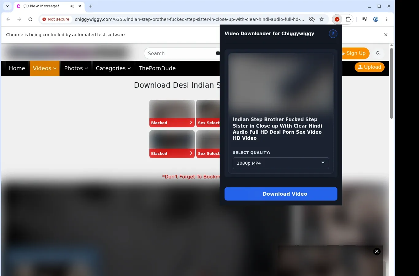 Chiggywiggy Downloader
