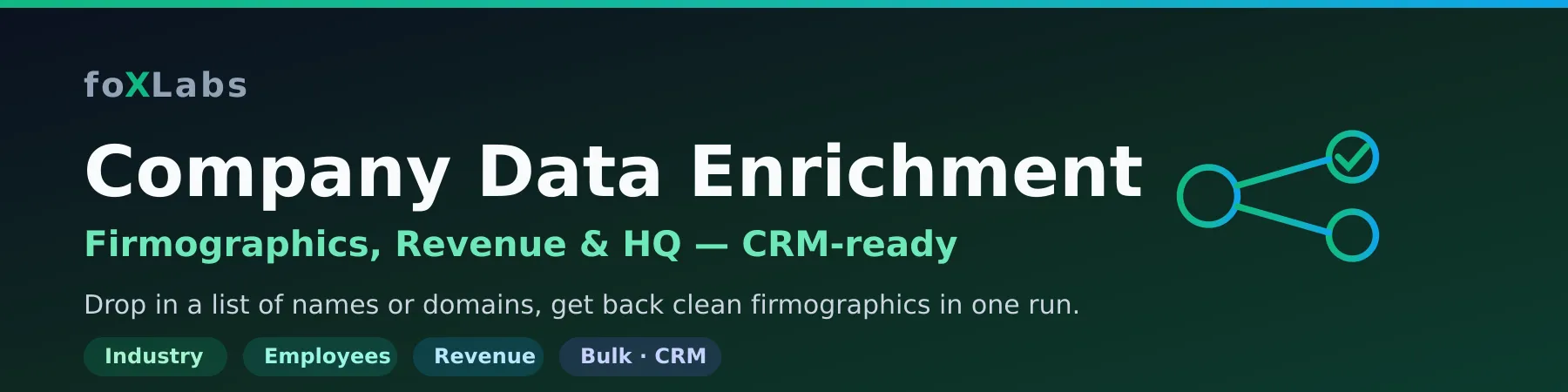 Company Data Enrichment — Firmographics, Revenue, HQ