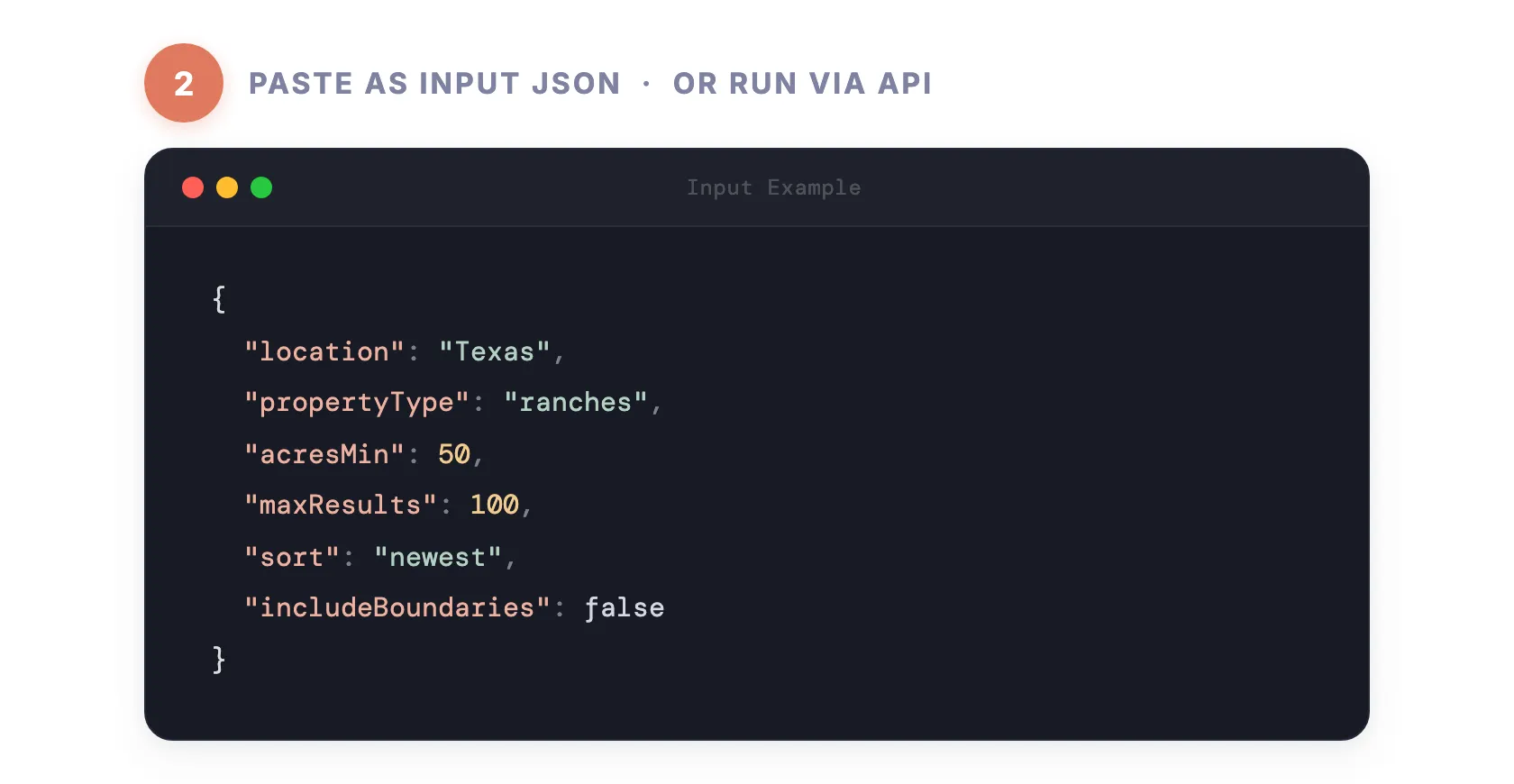 Step 2 — Paste as input JSON or run via API