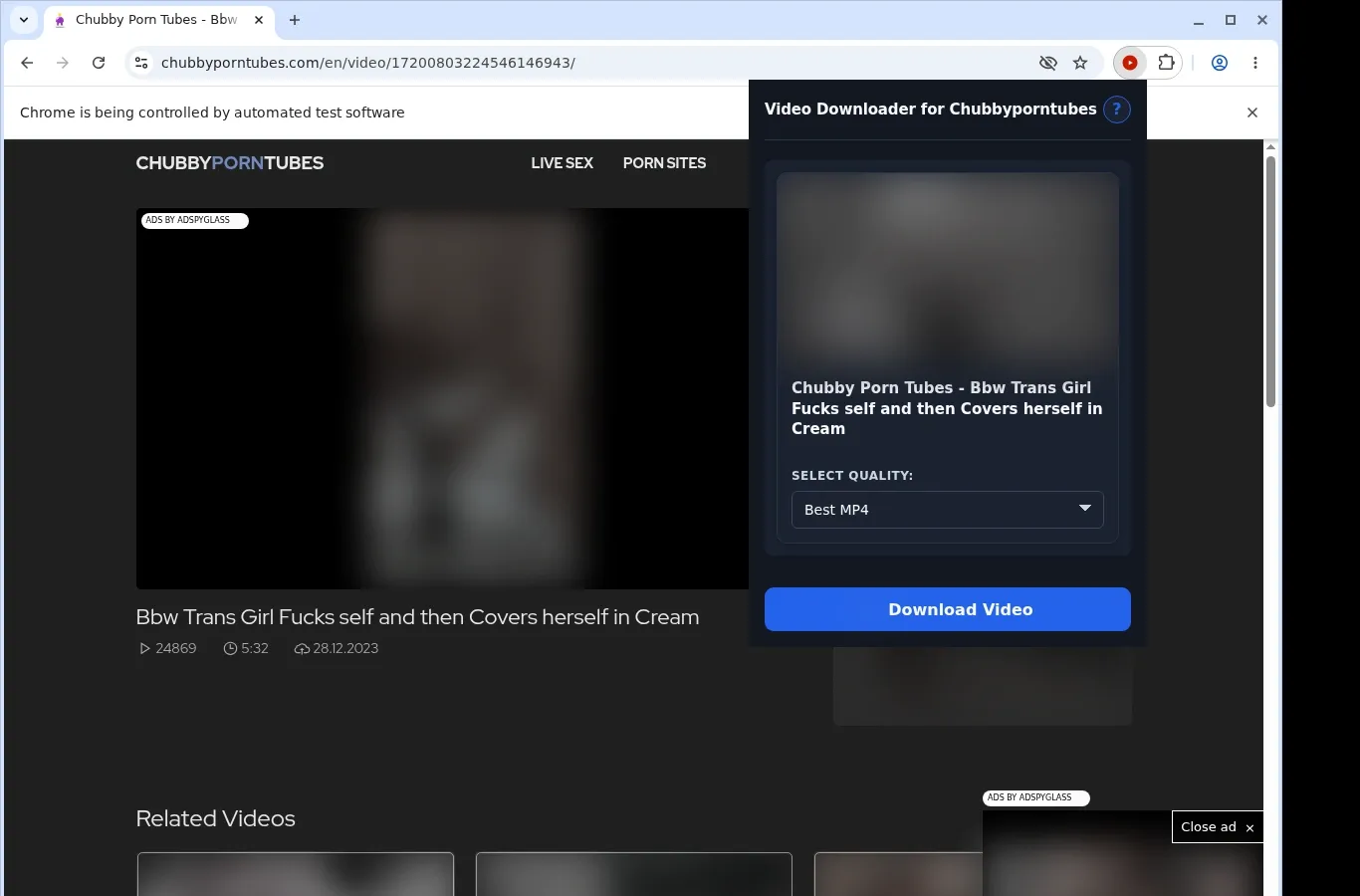 ChubbyPornTubes Downloader