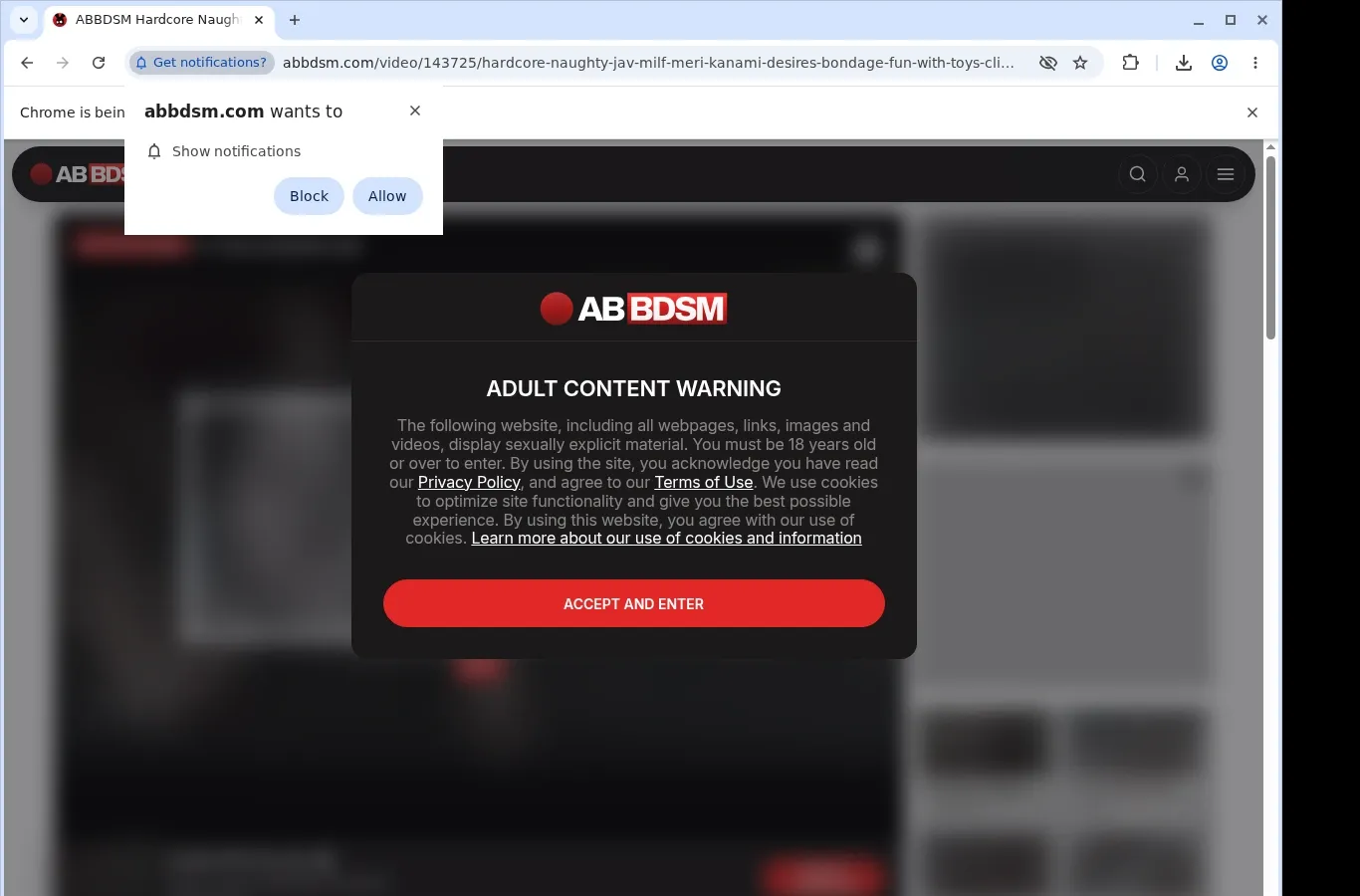 Abbdsm Video Downloader