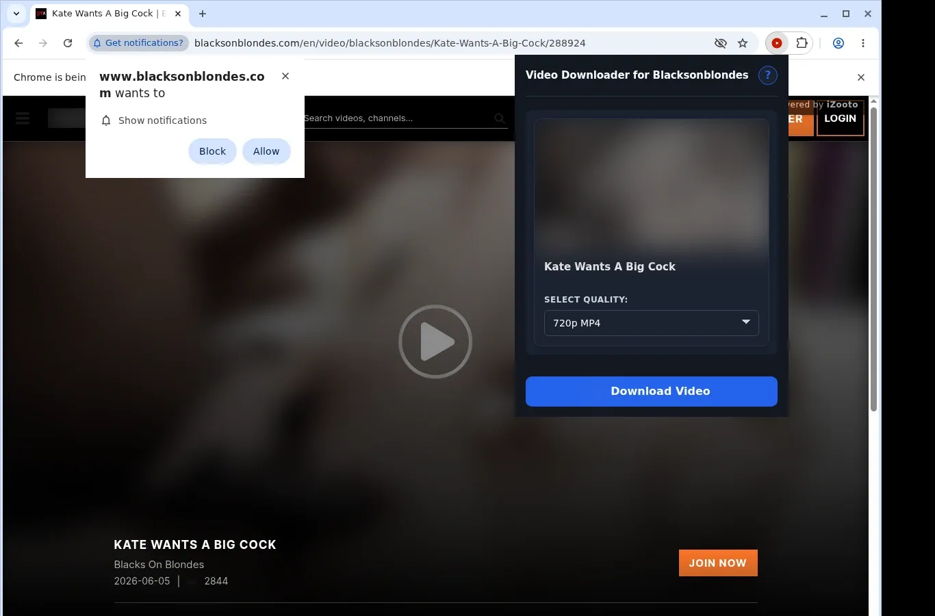 BlacksOnBlondes Video Downloader