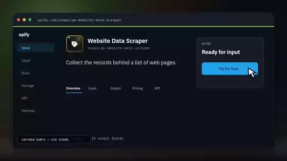 Website Data Scraper input and result demonstration