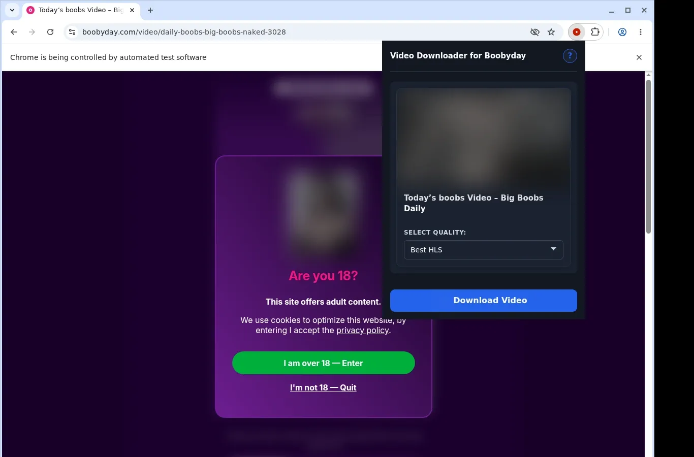 BoobyDay Video Downloader