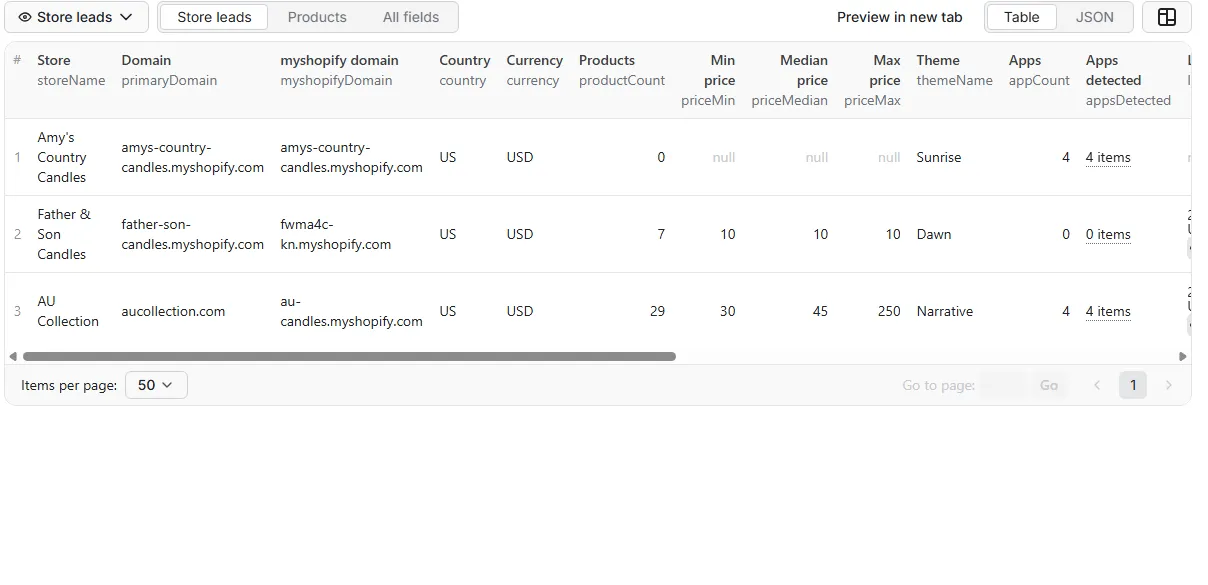 Shopify Store Leads sample output table