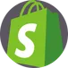 Shopify Product Scraper: Extract Product Data via JSON API avatar