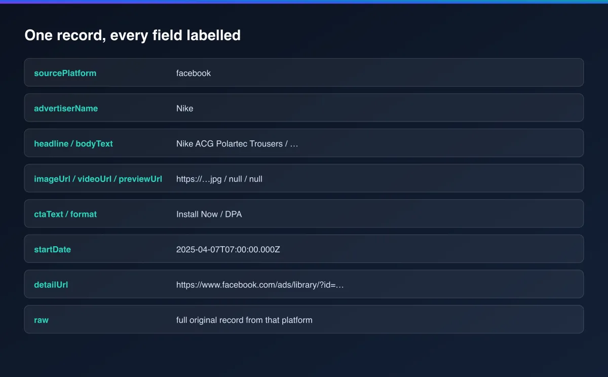 Every output field labelled on one example record