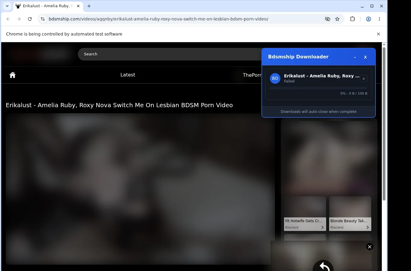 Bdsmship Downloader