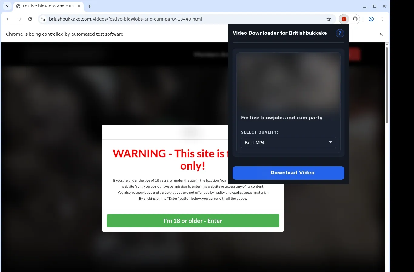 BritishBukkake Video Downloader