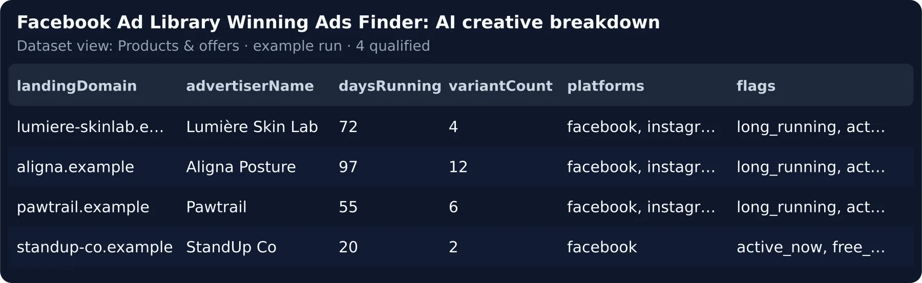 Products & offers view — landing domain, advertiser, days running, variants, placements and flags