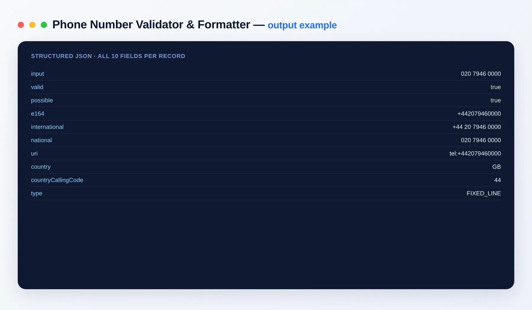 Phone Number Validator & Formatter output — the results as a clean dataset