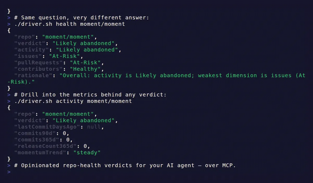 GitHub Repo Health Check terminal demo