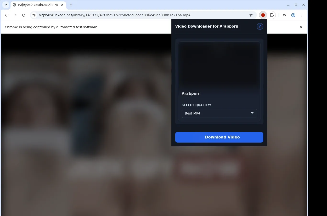 Arabporn Video Downloader