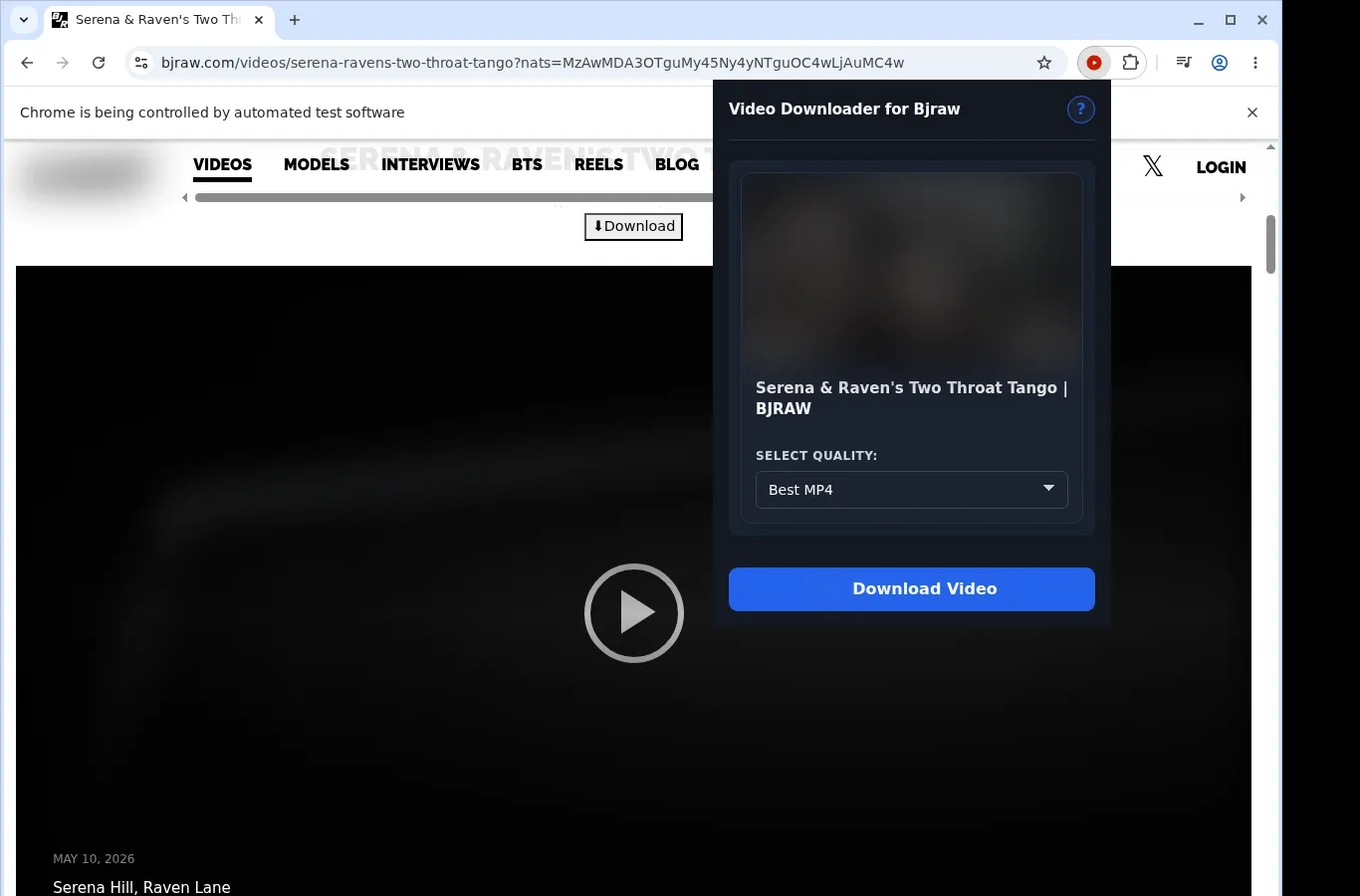 BJRaw Video Downloader