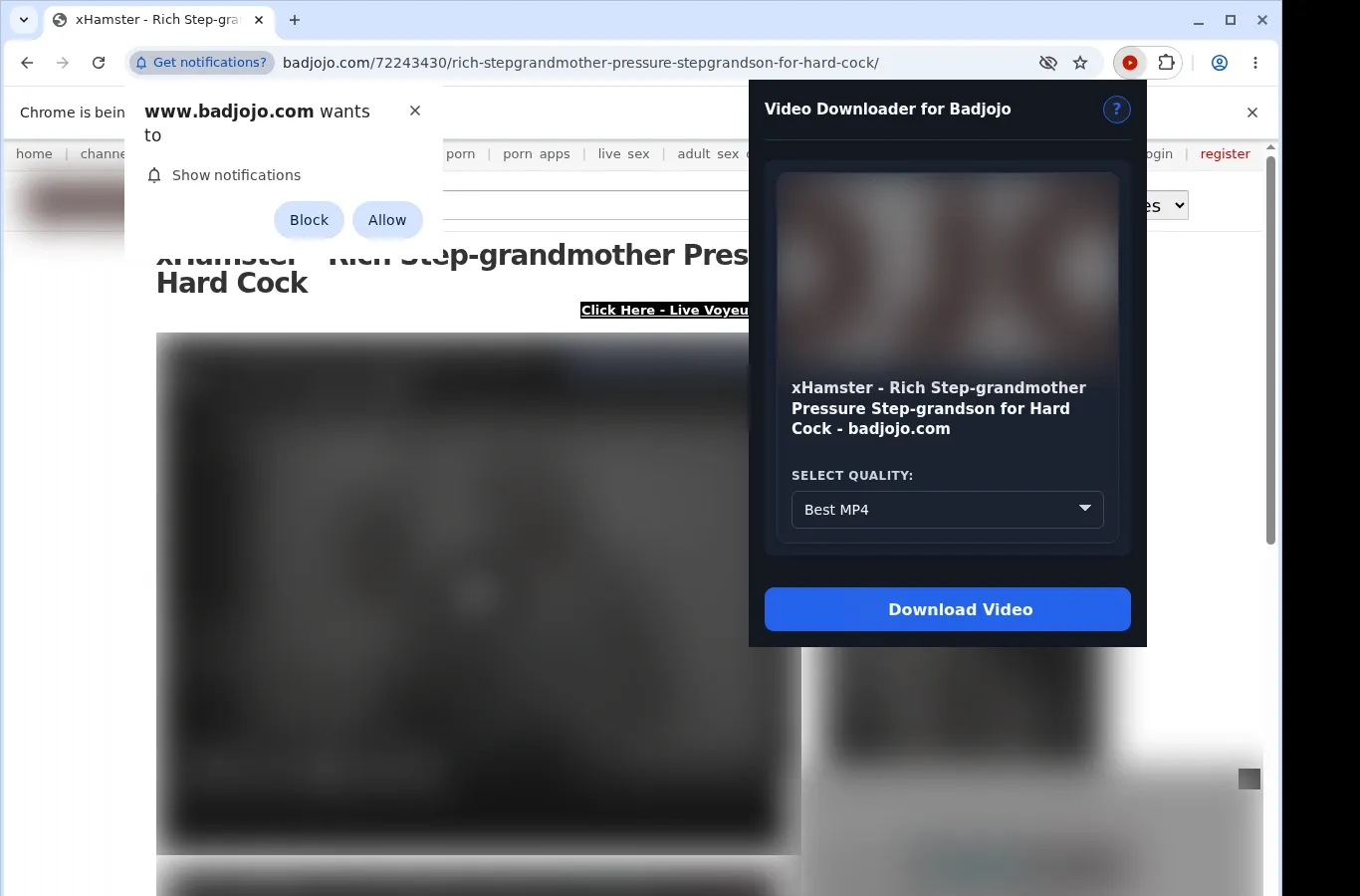 Badjojo Downloader
