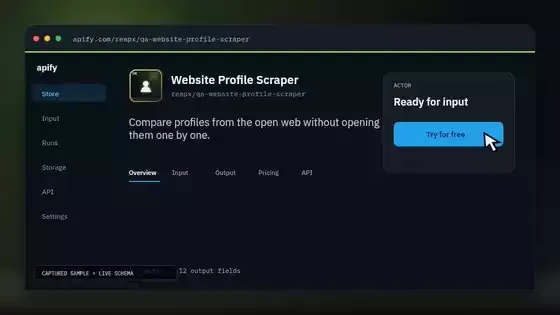 Website Profile Scraper input and result demonstration
