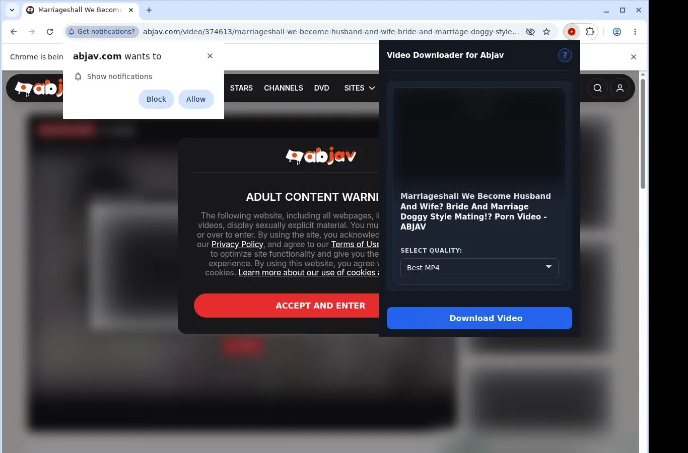 Abjav Video Downloader