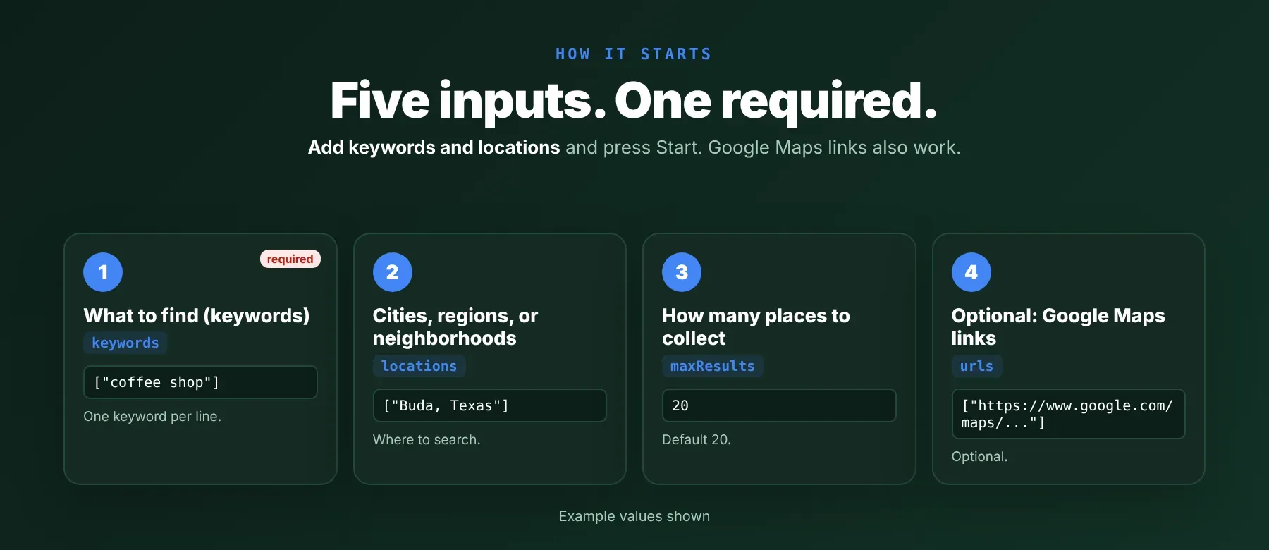 Google Maps Scraper input fields