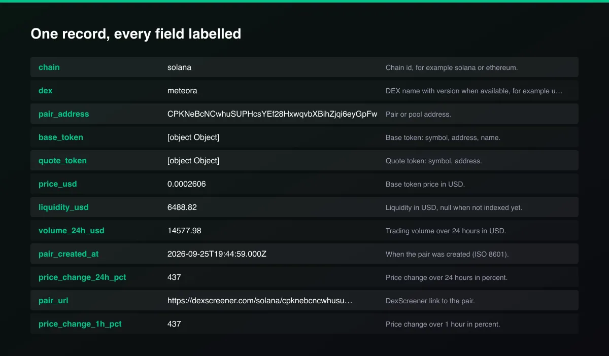 DEX New Pairs & Top Pairs Scraper (DexScreener Data) field map of one record