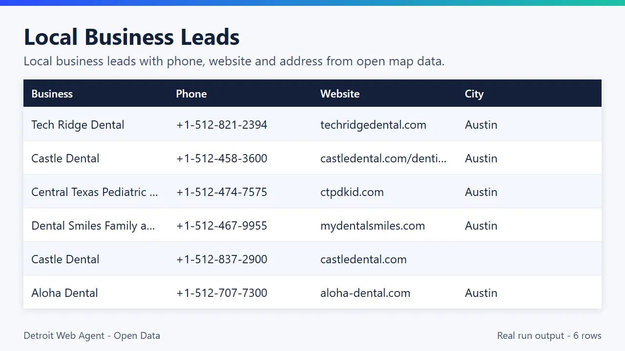 Local Business Leads output preview: real run results as a table