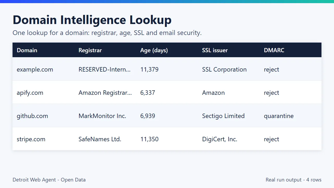 Domain Intelligence Lookup output preview: real run results as a table