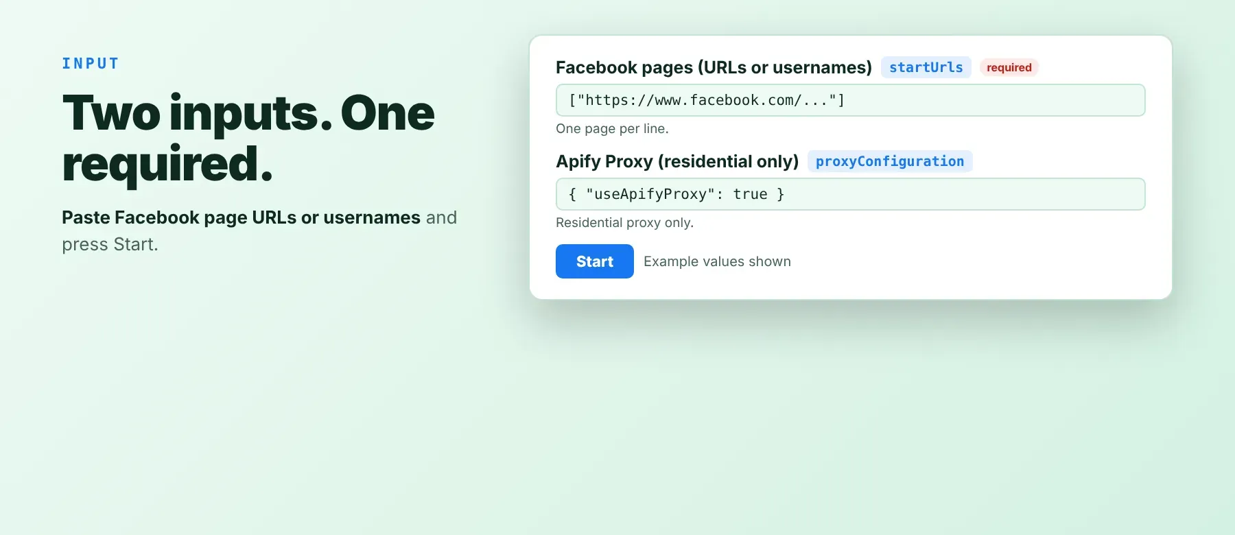 Facebook Pages Scraper input fields
