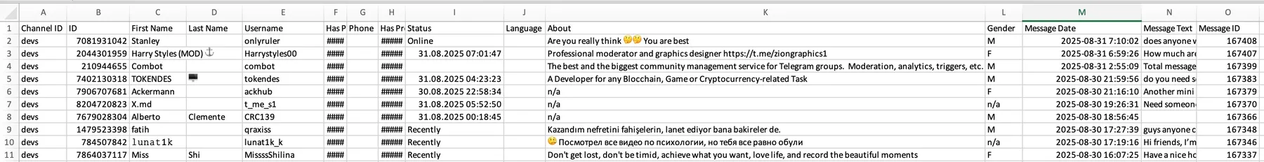 excel result example