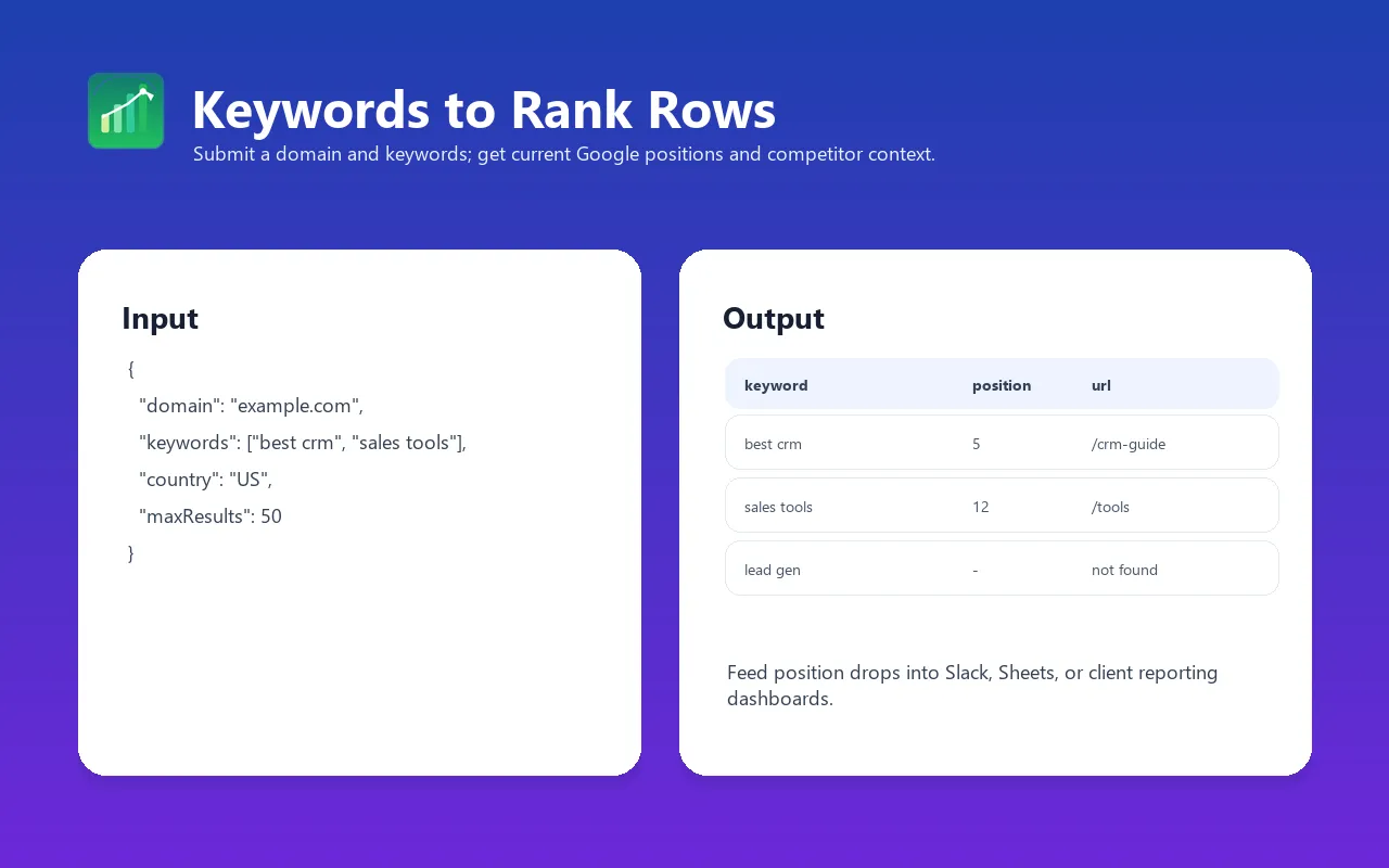 Keyword Rank Tracker input and output example