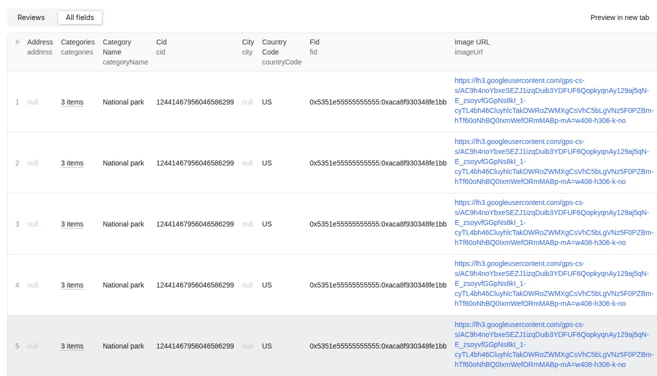 Google Maps Review Scraper output