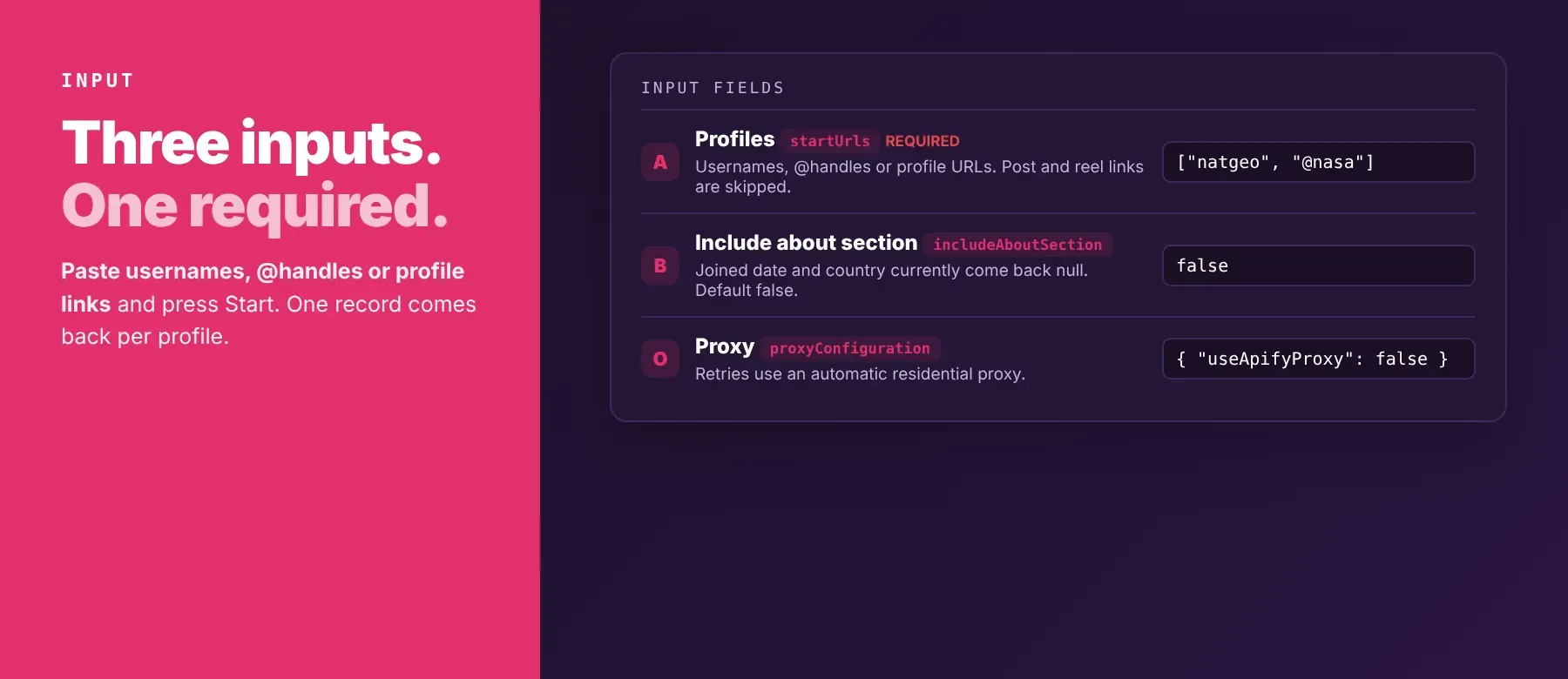 Instagram Profile Scraper input: profile URLs, usernames or handles and the about-section option