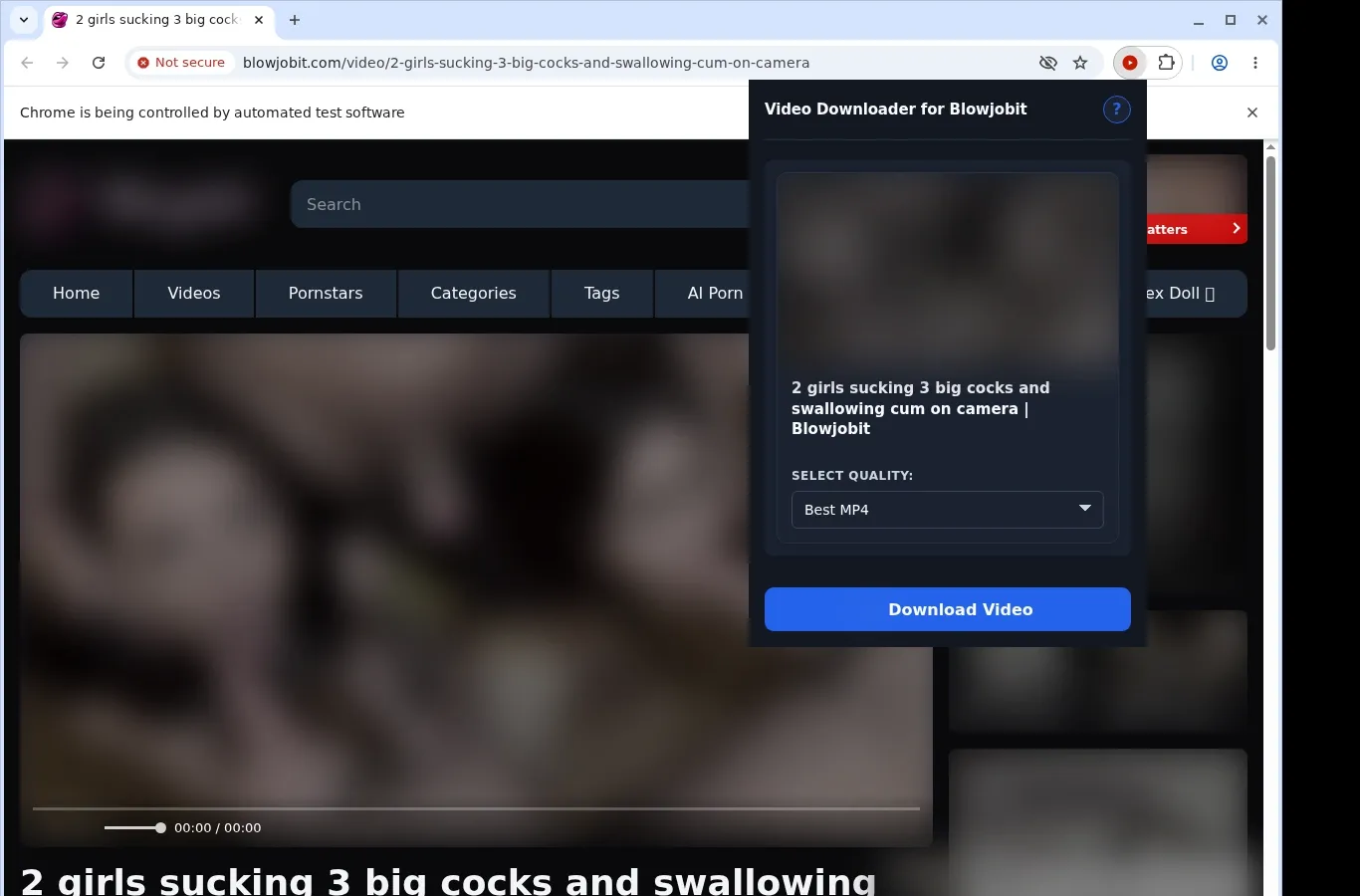 Blowjobit Video Downloader