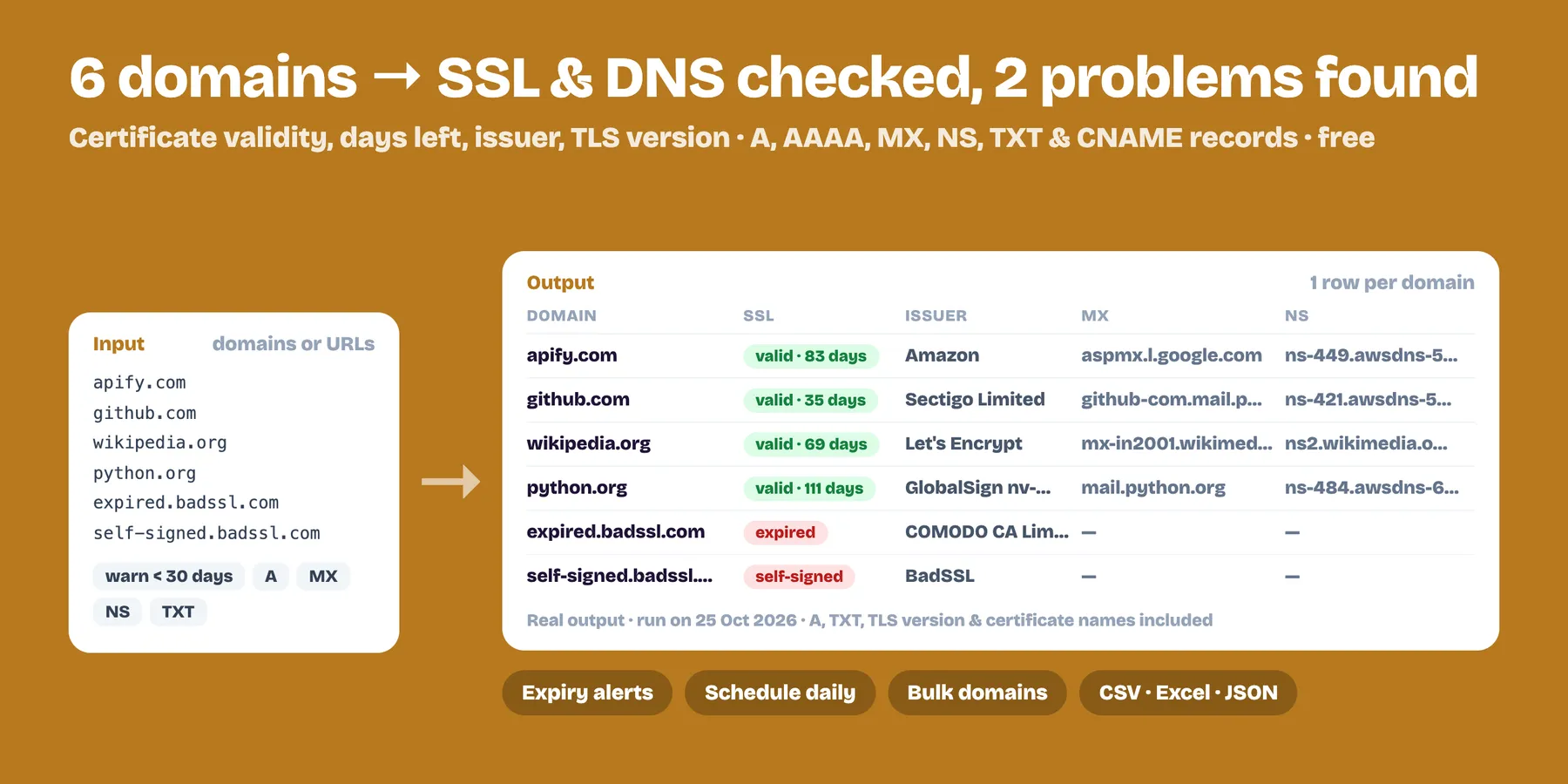 Six domains checked for SSL certificate validity, days left, issuer and DNS records, with problems flagged (real output)