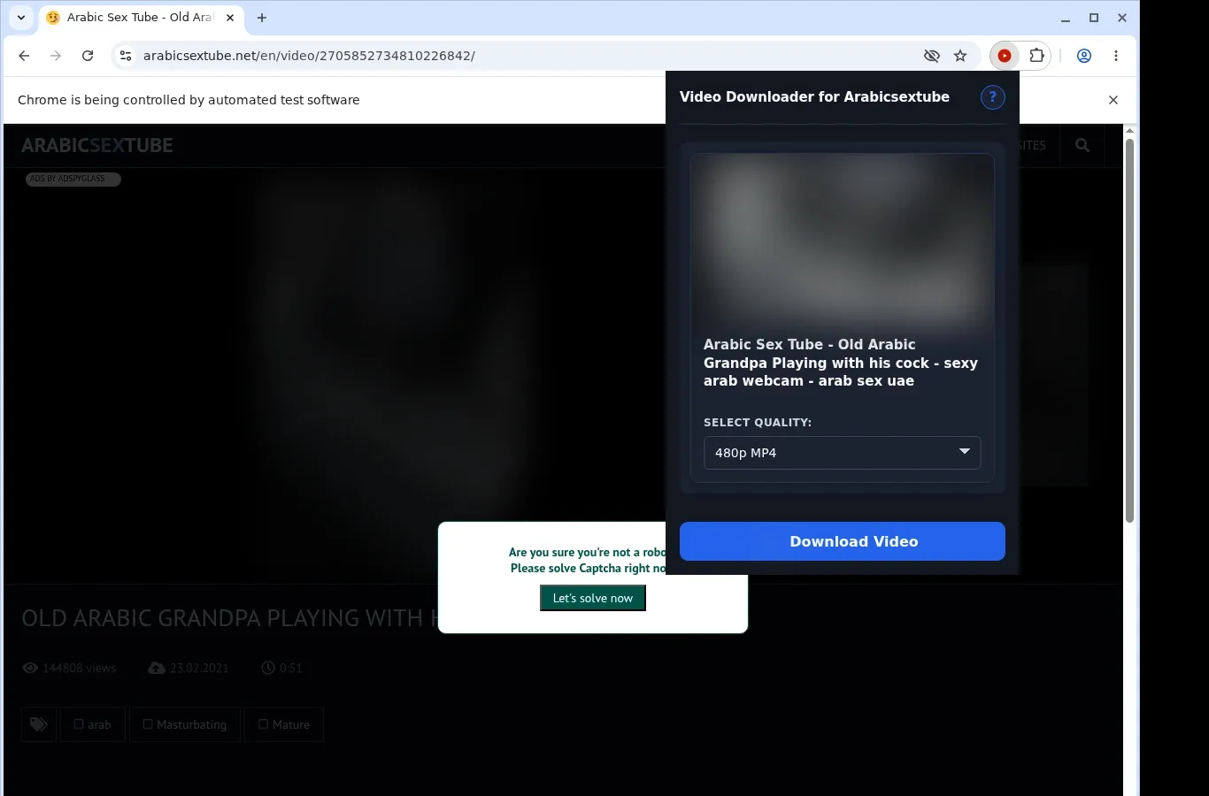 Arabicsextube Video Downloader