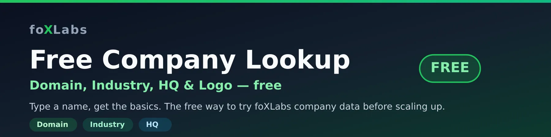 Free Company Lookup — Domain, Industry, HQ, Logo