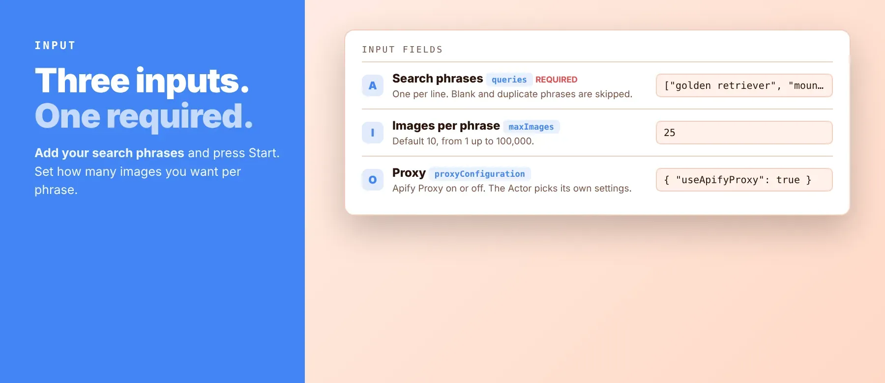 Google Images Scraper input: search phrases, images per phrase and proxy