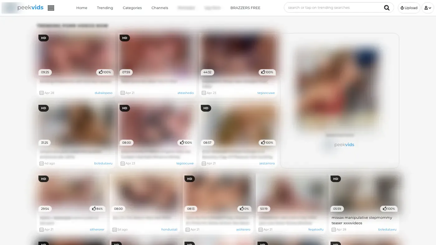 Peekvids Downloader