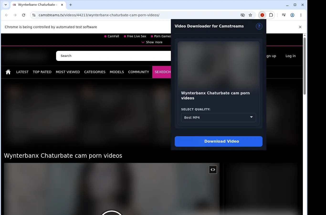 CamStreams Video Downloader