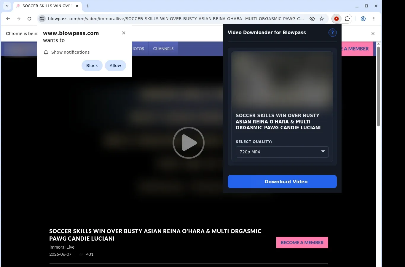 Blowpass Video Downloader