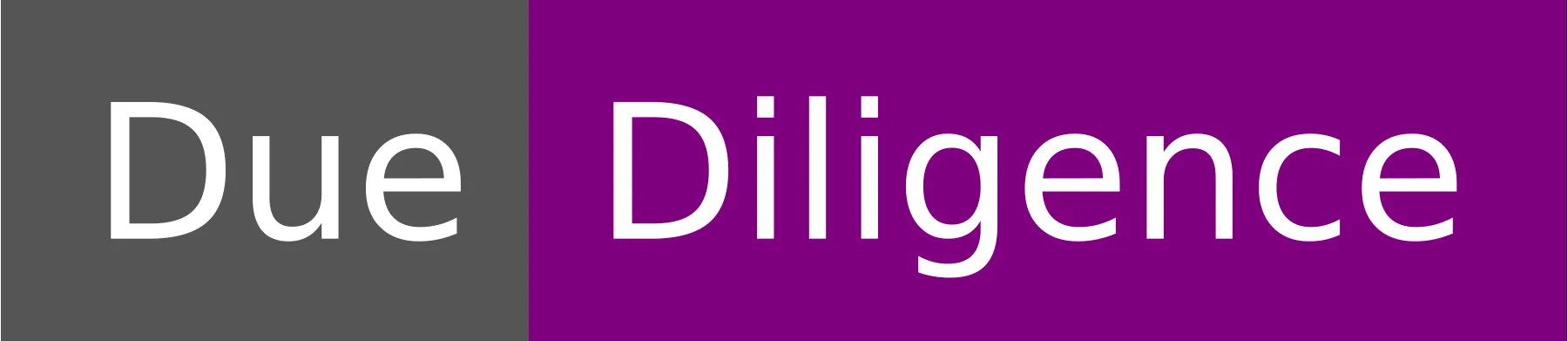 Due Diligence