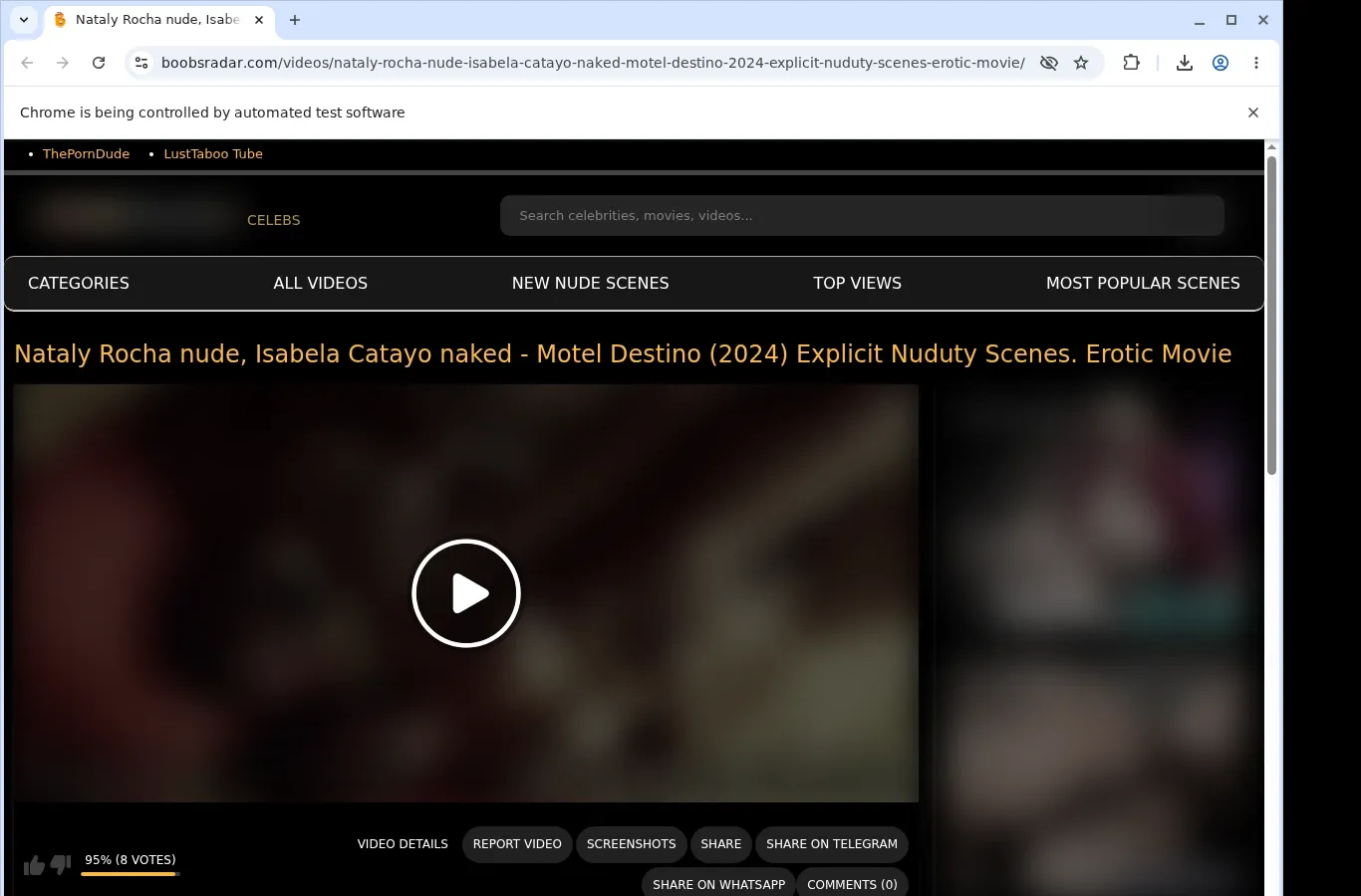 BoobsRadar Video Downloader